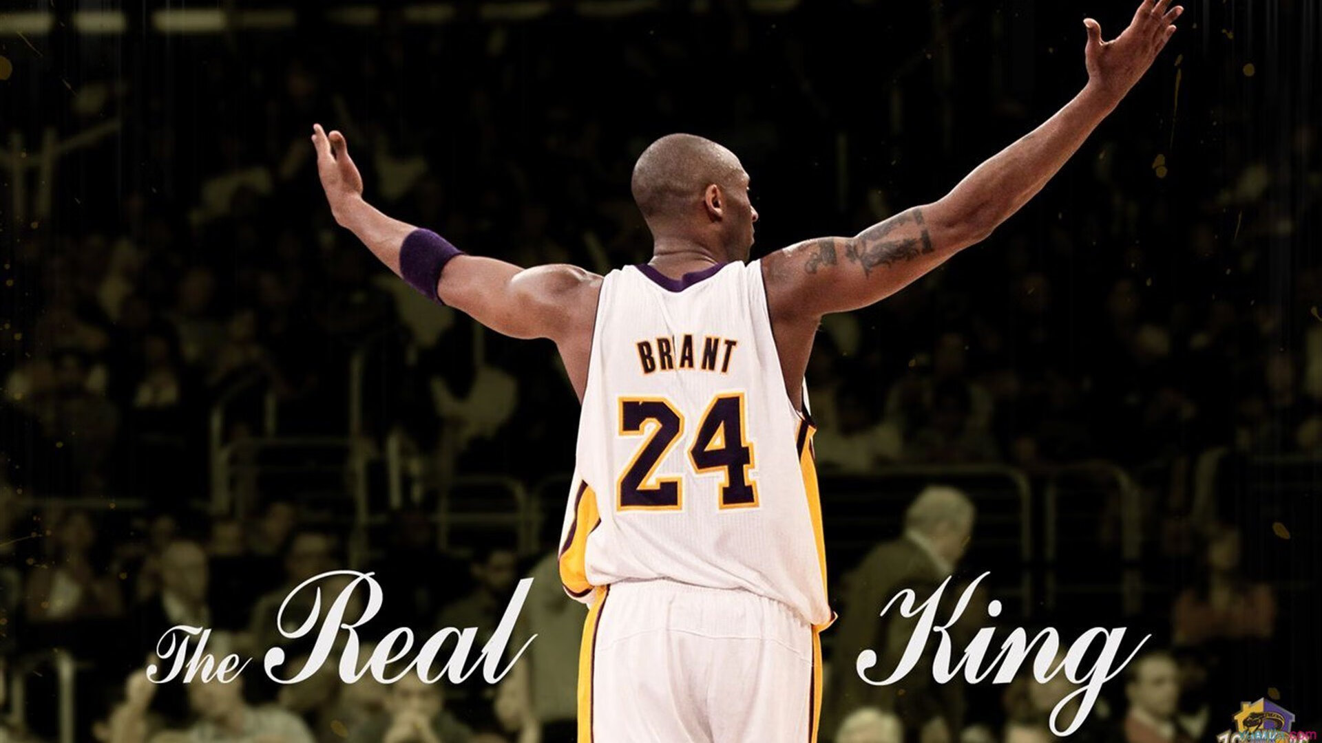 哈萨克斯坦武术比赛吸引众多武者参与，哈萨克斯坦的拳击